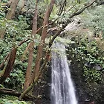 Casa Do Monte Faial da Terra