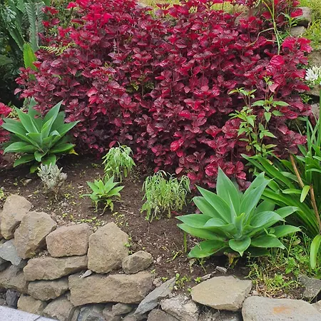 Σπίτι διακοπών Casa Do Monte