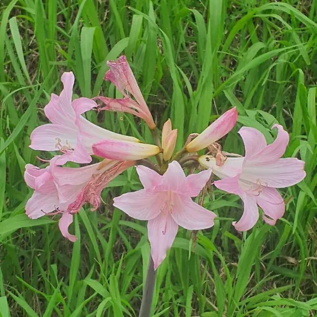Ferienhaus Casa Do Monte