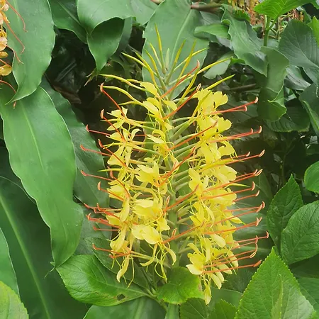 Casa Do Monte Ferienhaus *