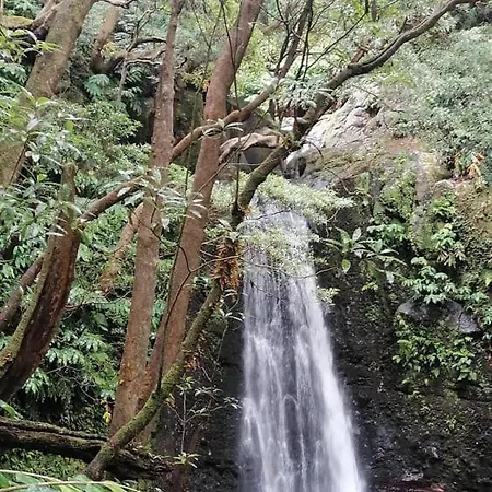 Casa Do Monte Faial da Terra