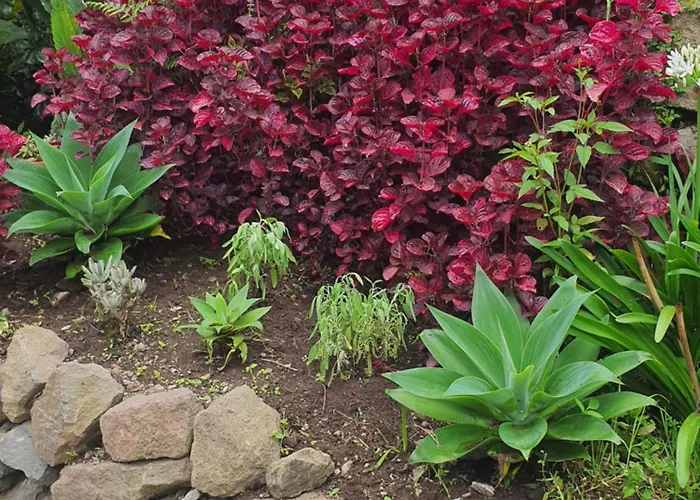 Σπίτι διακοπών Casa Do Monte