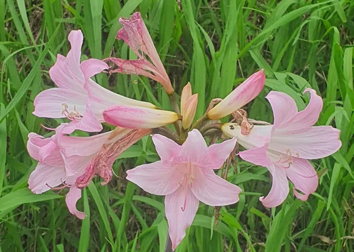 Vakantiehuis Casa Do Monte