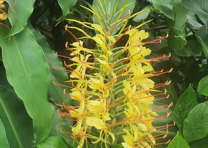 Casa Do Monte Vakantiehuis *