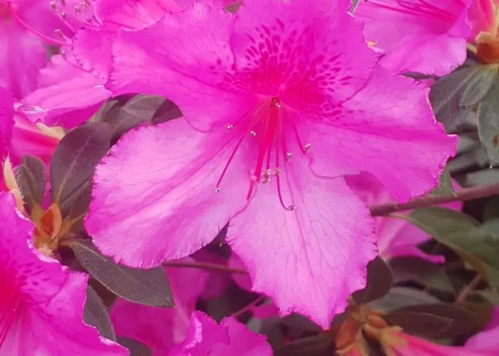 Casa Do Monte Σπίτι διακοπών *