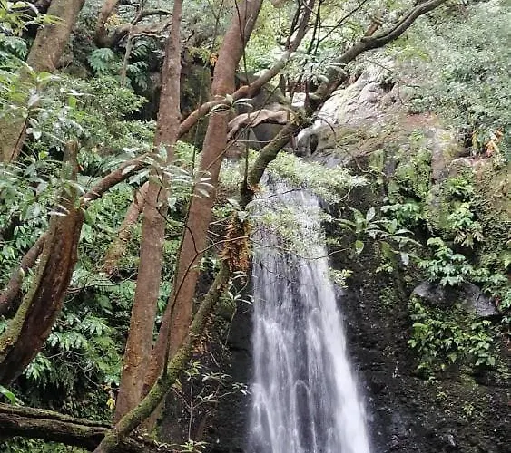Casa Do Monte Faial da Terra